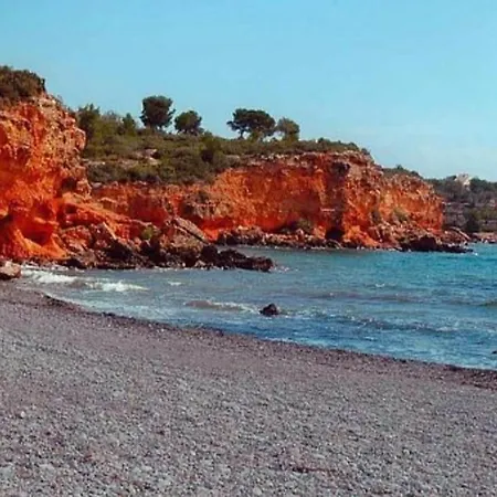 Arrels Terra - * L'Ampolla