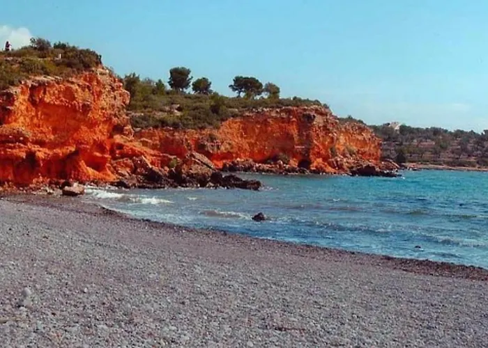 Arrels Terra - * L'Ampolla